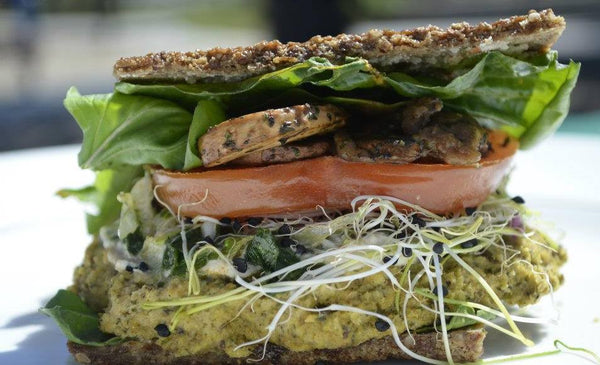 Nelson's Living Gourmet Spicy Chipotle Avocado Falafel Burger